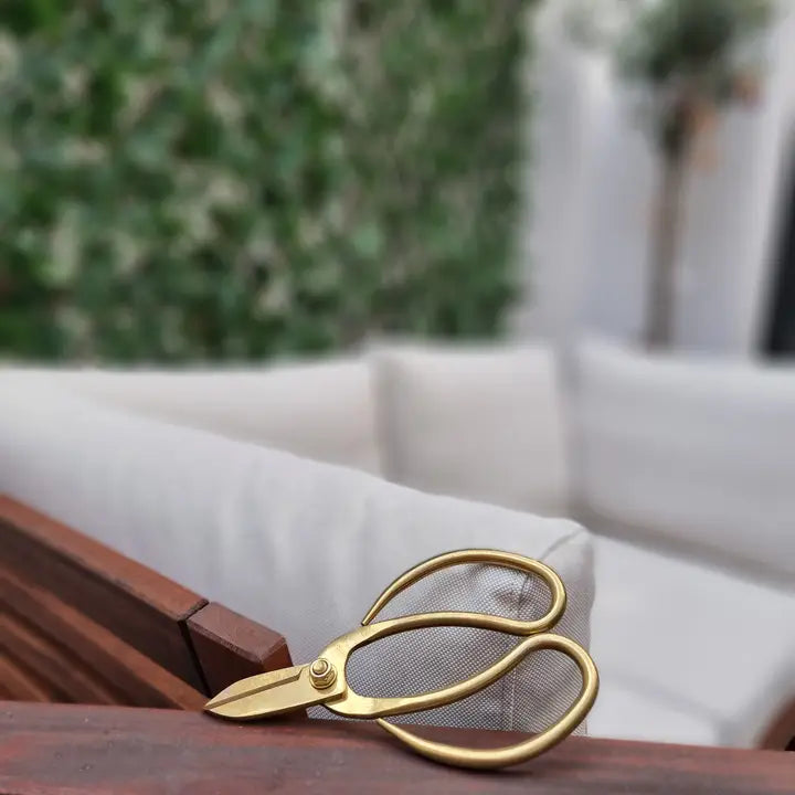 Bonsai-Schere Schere