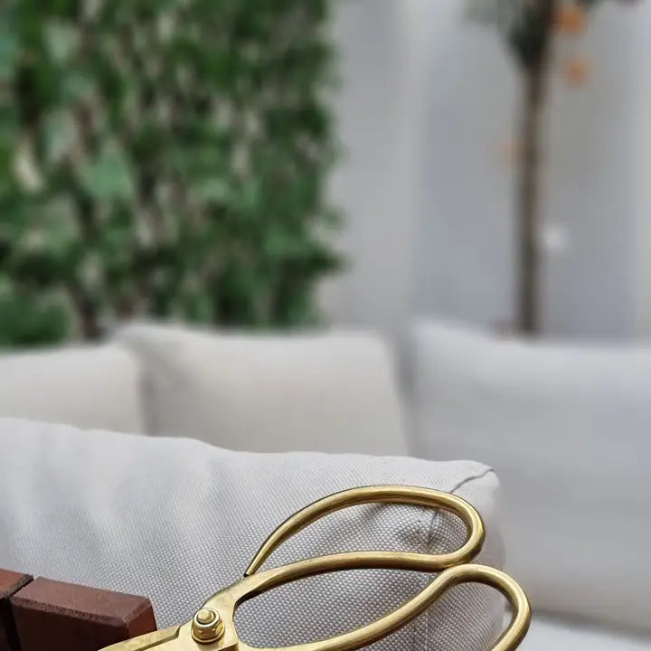 Bonsai-Schere Schere