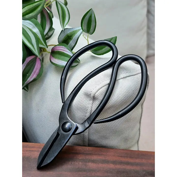 Bonsai-Schere Schere