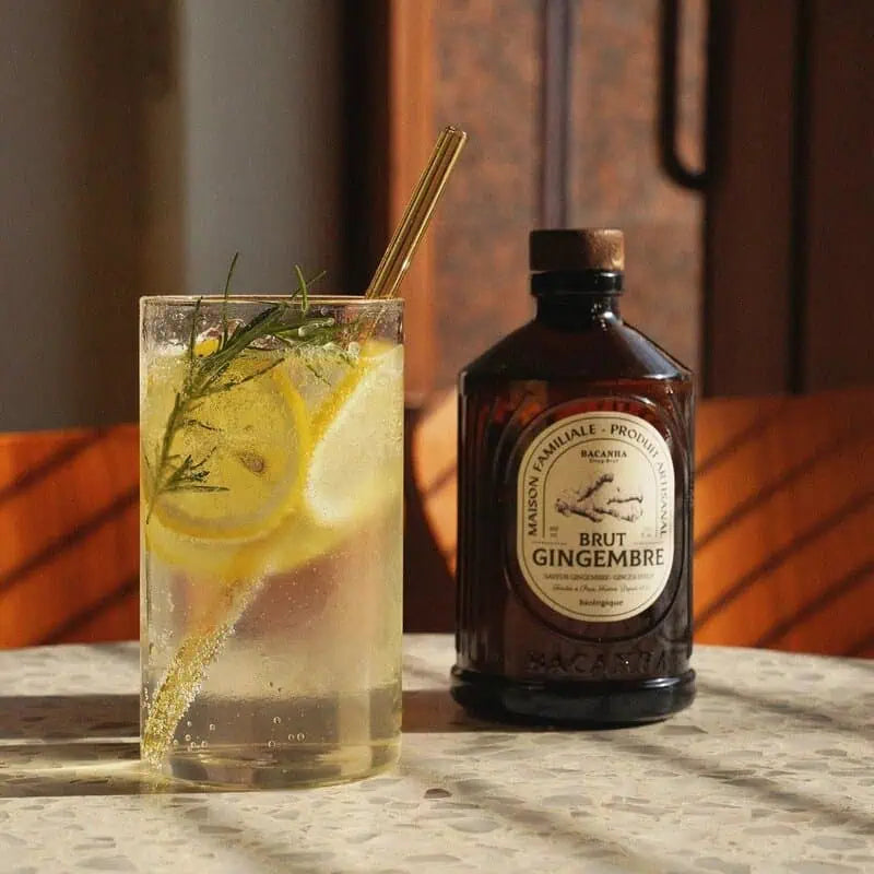 Ingwer-Sirup (400ml) – Bio Sirup