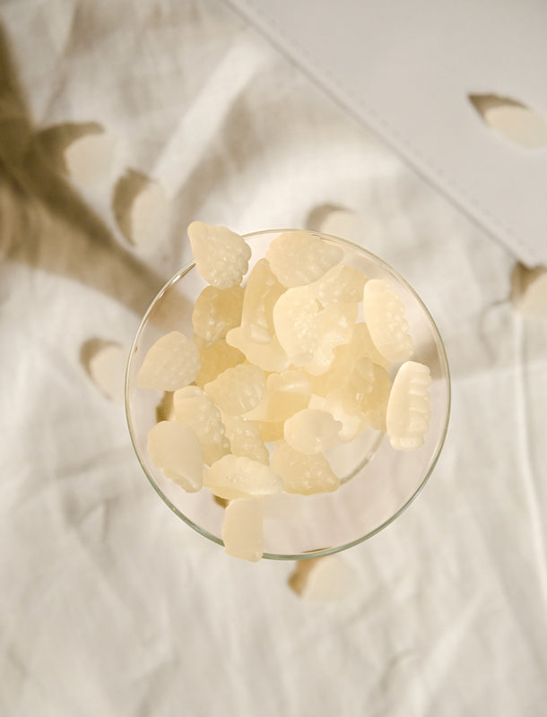 Sauvignon Blanc Wein-Gummibärchen Gummibärchen