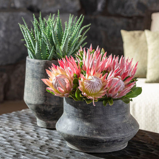 Pflanzentopf DISC Topf