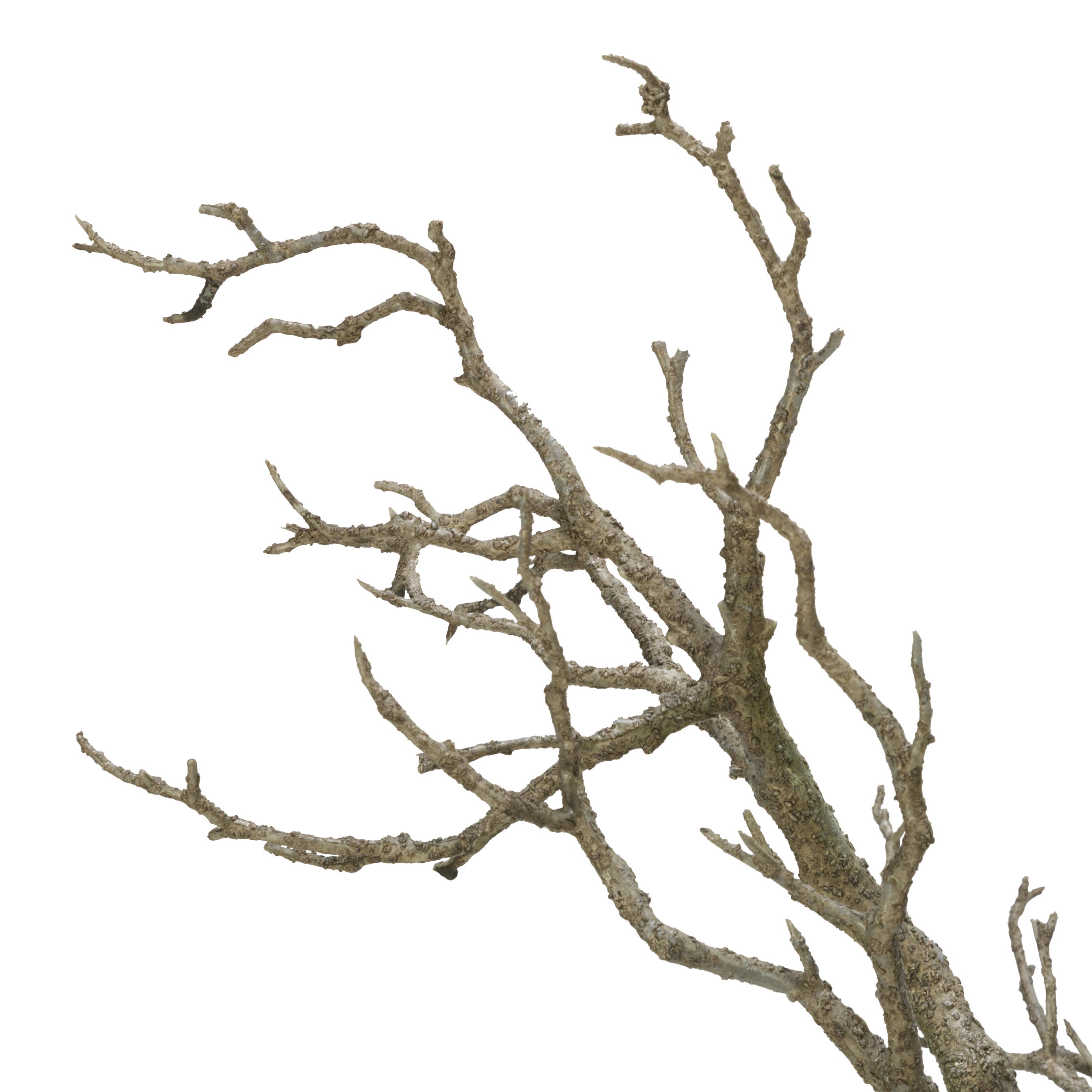 Skulpturenbaum – Realistische Design Künstbaum
