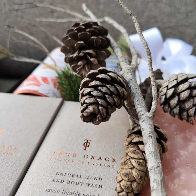 Geschenkbox Winterzauber Geschenkbox