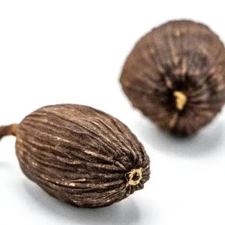 Schwarzer Kardamom Gewürze